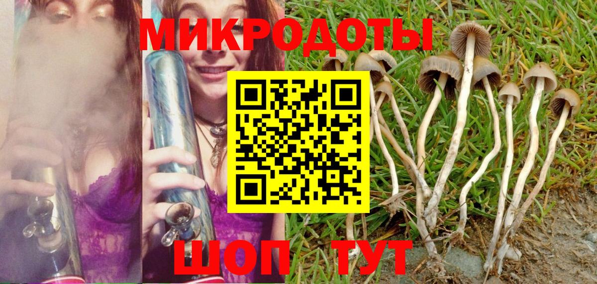 Псилоцибиновые грибы ЛСД Калуга