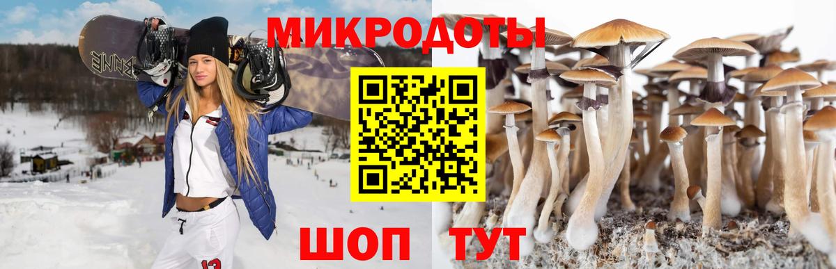 Галлюциногенные грибы мухоморы  Вход с VPN  Псилоцибиновые грибы Psilocybine cubensis  Калуга 